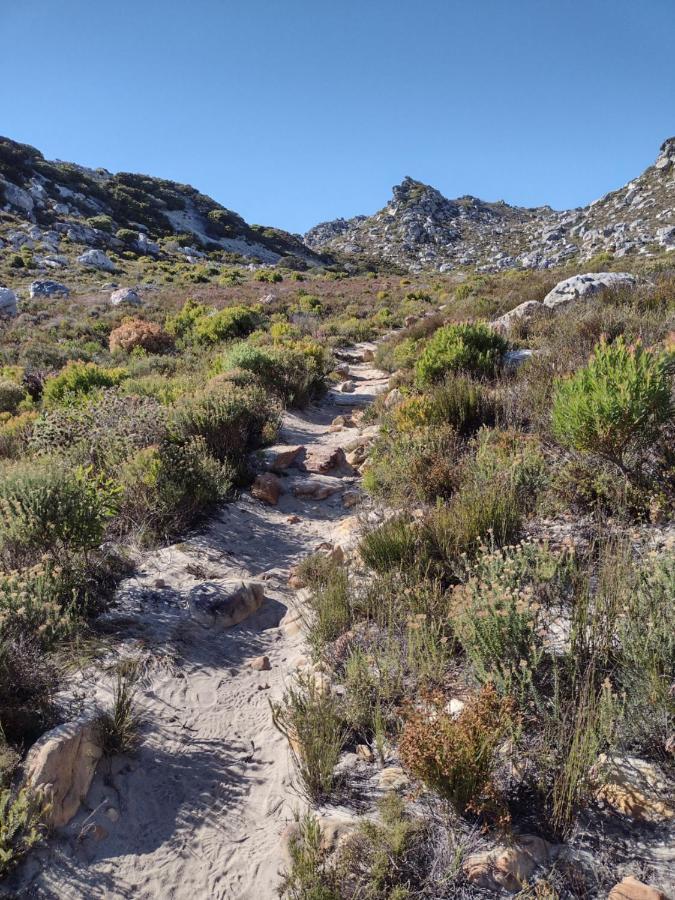 Lark House, Peaceful Mountain Home With Ocean Views And Power Backup Cape Town Bagian luar foto